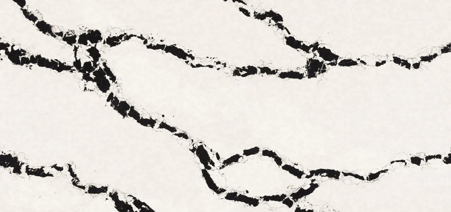 White, bold black veins