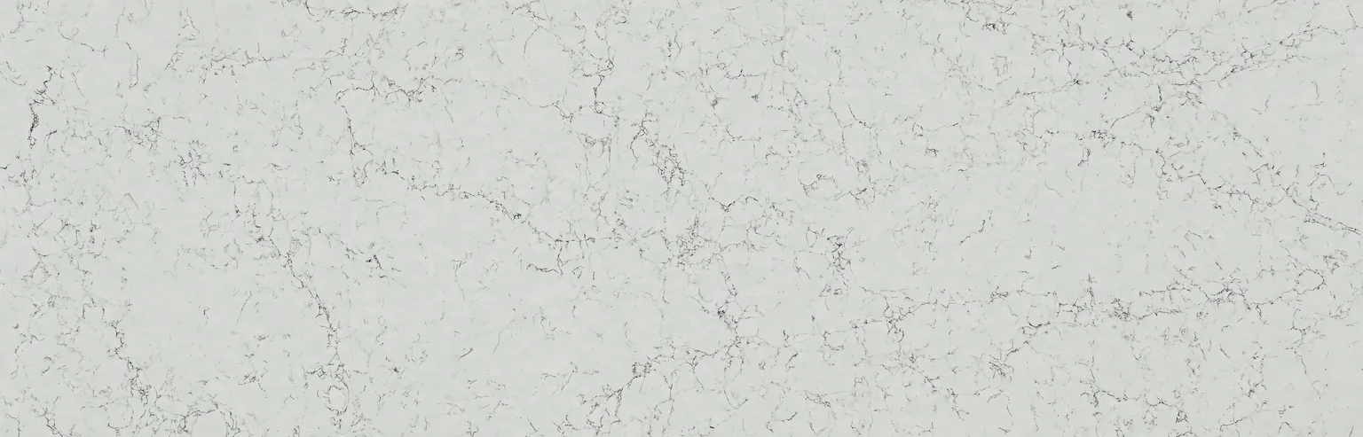 White, dense fine grey veins